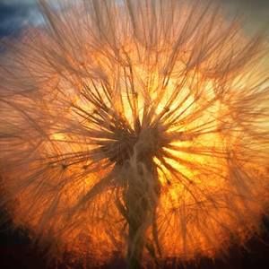 Meet your Posher, Kerri